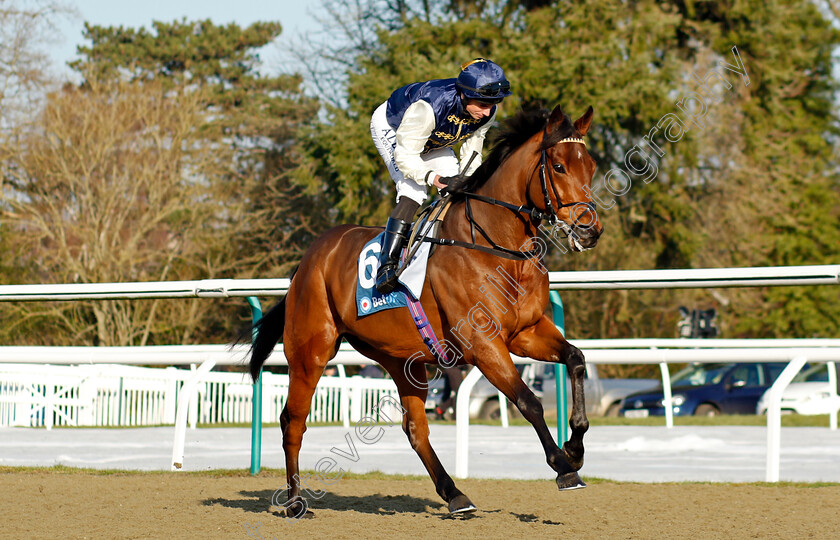 Paris-Lights-0001 
 PARIS LIGHTS (Ryan Moore)
Lingfield 21 Jan 2023 - Pic Steven Cargill / Racingfotos.com