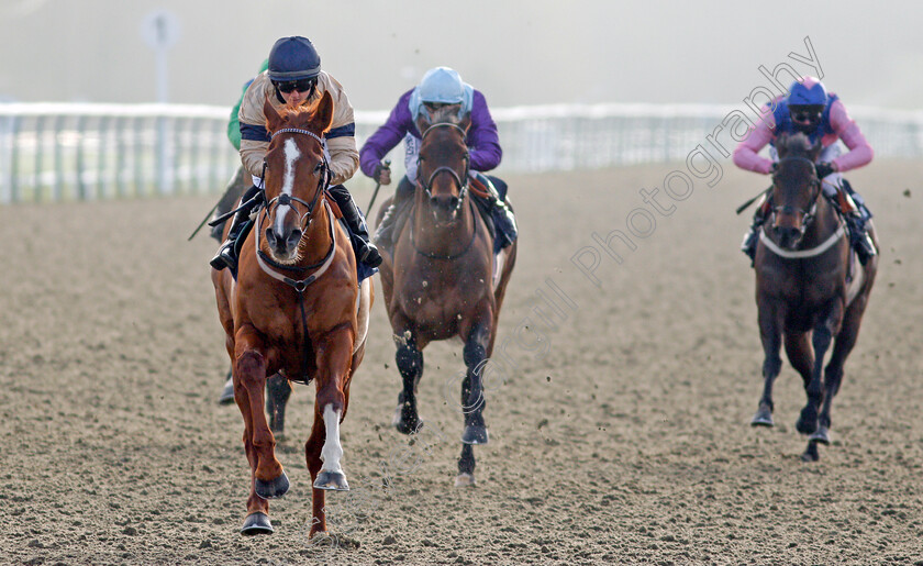 Going-Places-0007 
 GOING PLACES (Hollie Doyle) wins The Bombardier March To Your Own Drum Novice Stakes
Lingfield 9 Jan 2021 - Pic Steven Cargill / Racingfotos.com