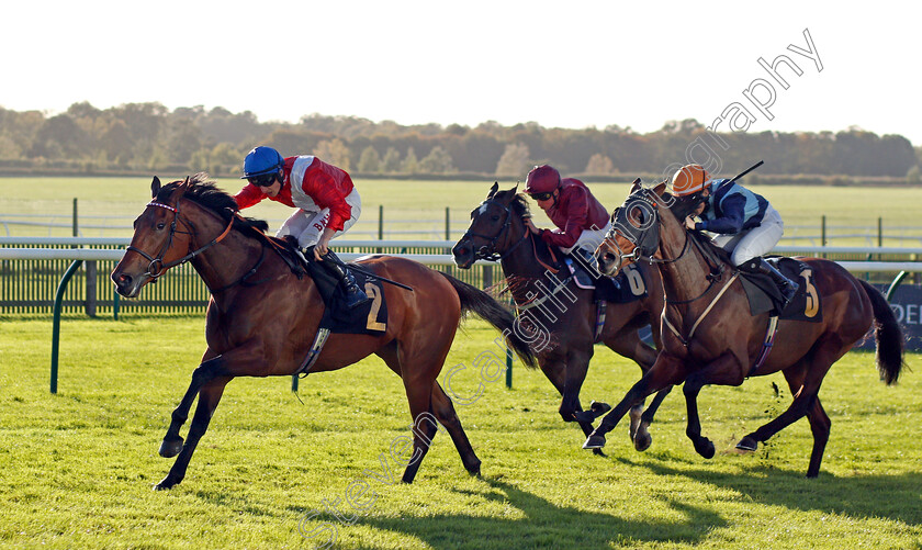 Bashkirova-0002 
 BASHKIROVA (Tom Marquand) wins The Devils Dyke Fillies Handicap
Newmarket 20 Oct 2021 - Pic Steven Cargill / Racingfotos.com