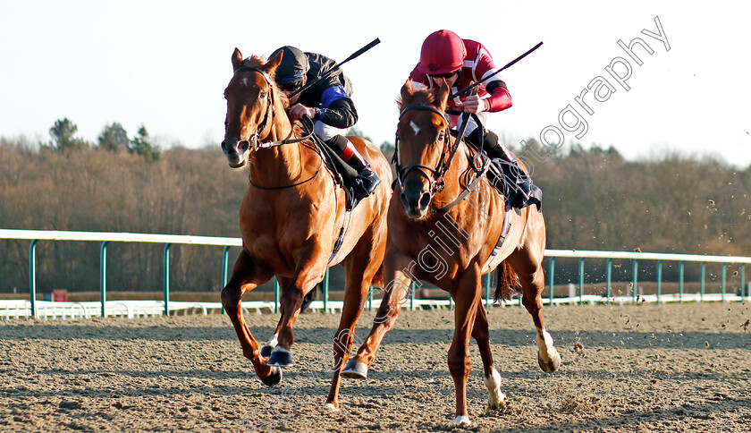 Will-To-Win-0003 
 WILL TO WIN (right, Jack Mitchell) beats NEVER BEFORE (left) in The Ladbrokes Home Of The Odds Boost Handicap
Lingfield 8 Feb 2020 - Pic Steven Cargill / Racingfotos.com