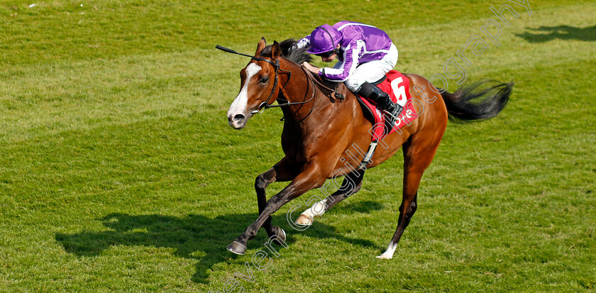 Point-Lonsdale-0003 
 POINT LONSDALE (Ryan Moore) wins The tote.co.uk Supporting Racing Ormonde Stakes
Chester 9 May 2024 - Pic Steven Cargill / Racingfotos.com