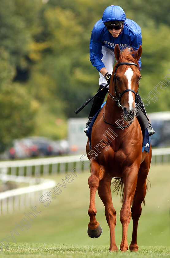 Masar-0001 
 MASAR (James Doyle)
Newmarket 11 Jul 2019 - Pic Steven Cargill / Racingfotos.com