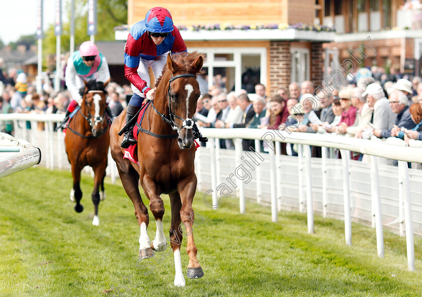 White-Mocha-0001 
 WHITE MOCHA (Jim Crowley)
York 17 May 2018 - Pic Steven Cargill / Racingfotos.com