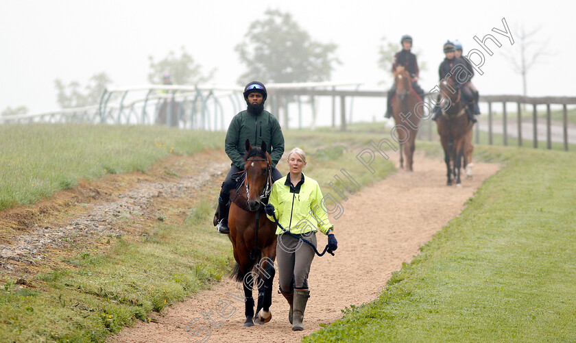 Knight-To-Behold-0009 
 KNIGHT TO BEHOLD, ridden by Mohammed Abdul Qazafi Mirza, walking home from the gallops with Christina Dunlop in preparation for The Investec Derby
Lambourn 31 May 2018 - Pic Steven Cargill / Racingfotos.com