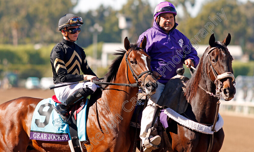 Gear-Jockey-0001 
 GEAR JOCKEY (Tyler Gaffalione)
Santa Anita 1 Nov 2019 - Pic Steven Cargill / Racingfotos.com