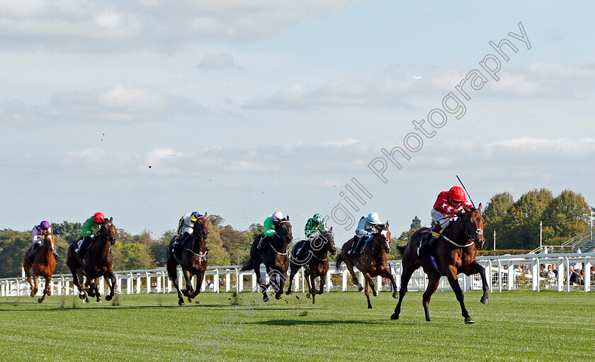 Hampden-Park-0003 
 HAMPDEN PARK (Oisin Murphy) wins The Heros Novice Stakes
Ascot 6 Oct 2023 - Pic Steven Cargill / Racingfotos.com