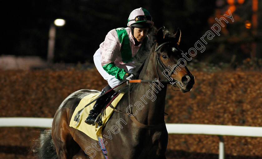 Gregory-K-0001 
 GREGORY K (Hayley Turner)
Kempton 29 Jan 2020 - Pic Steven Cargill / Racingfotos.com