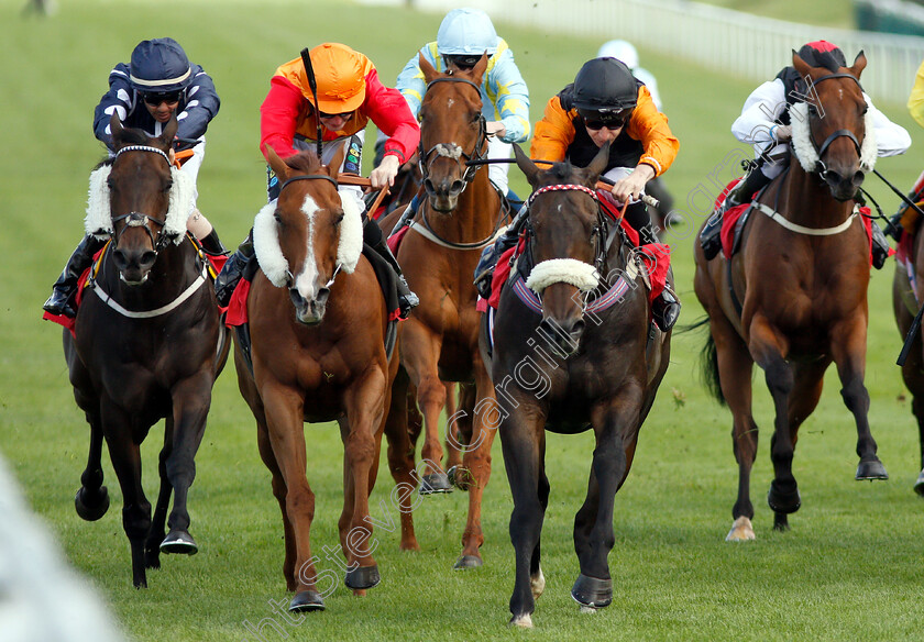 Saaheq-0004 
 SAAHEQ (Luke Morris) beats VIMY RIDGE (2nd left) and BELLEDESERT (left) in The Smarkets Handicap
Sandown 19 Sep 2018 - Pic Steven Cargill / Racingfotos.com