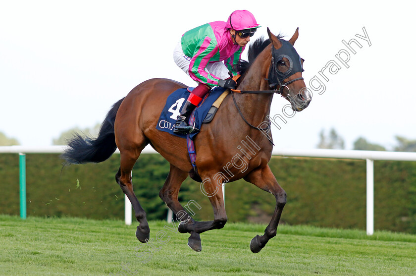 Prosperous-Voyage-0001 
 PROSPEROUS VOYAGE (Frankie Dettori)
Leopardstown 9 Sep 2023 - Pic Steven Cargill / Racingfotos.com