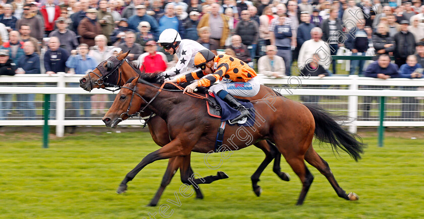 Ocean-Temptress-0004 
 OCEAN TEMPTRESS (farside, Jack Osborn) beats QUATRIEME AMI (nearside) in The Moulton Nursery Of Acle Handicap Yarmouth 19 Sep 2017 - Pic Steven Cargill / Racingfotos.com