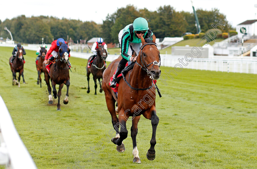 Century-Dream-0005 
 CENTURY DREAM (James Doyle) wins The Ladbrokes Celebration Mile
Goodwood 29 Aug 2020 - Pic Steven Cargill / Racingfotos.com