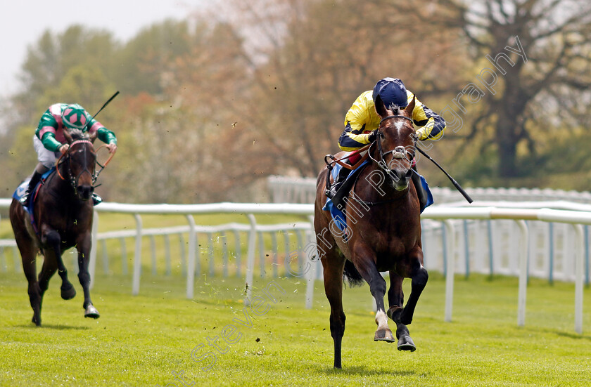 Spanish-Phoenix-0005 
 SPANISH PHOENIX (Oisin Murphy) wins The Atlantic Pale Ale Maiden Stakes
Leicester 29 Apr 2023 - Pic Steven Cargill / Racingfotos.com