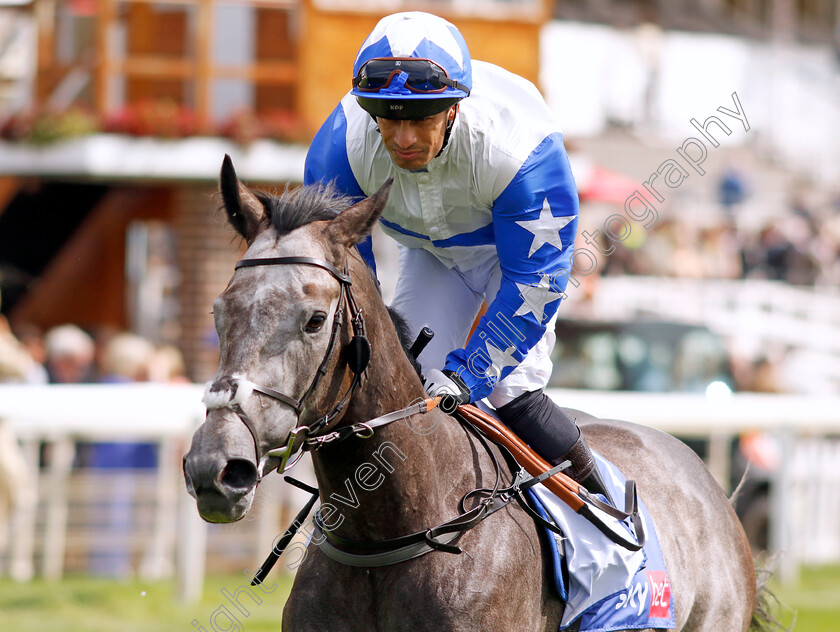 Master-Builder-0001 
 MASTER BUILDER (Silvestre de Sousa)
York 24 Aug 2024 - Pic Steven Cargill / Racingfotos.com