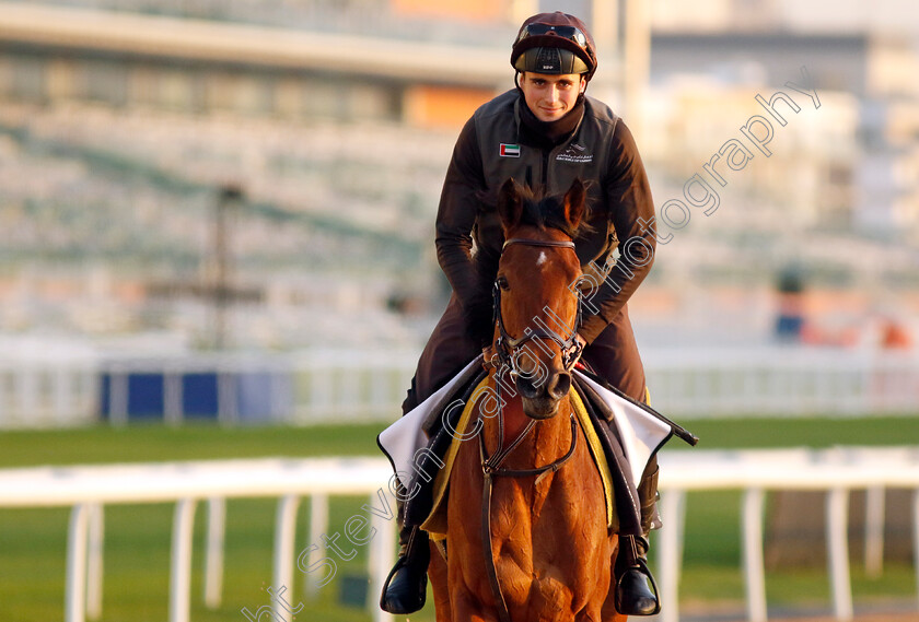 Lhakpa-0001 
 LHAKPA training at the Dubai Racing Carnival
Meydan 22 Jan 2025 - Pic Steven Cargill / Racingfotos.com