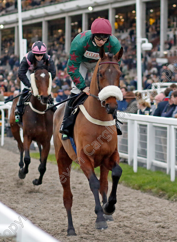 Fiercely-Proud-0001 
 FIERCELY PROUD (Ben Jones)
Cheltenham 17 Nov 2024 - Pic Steven Cargill / Racingfotos.com