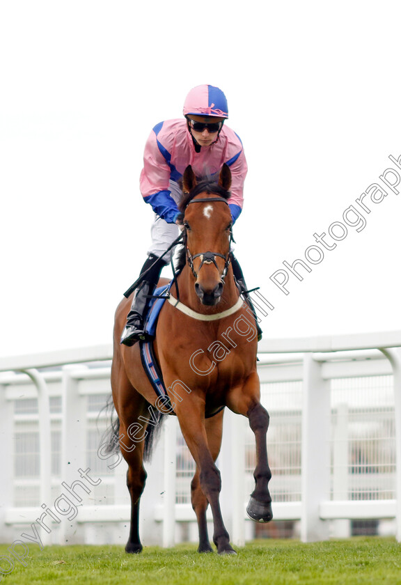 Saligo-Bay-0001 
 SALIGO BAY (Jason Watson)
Epsom 25 Apr 2023 - Pic Steven Cargill / Racingfotos.com