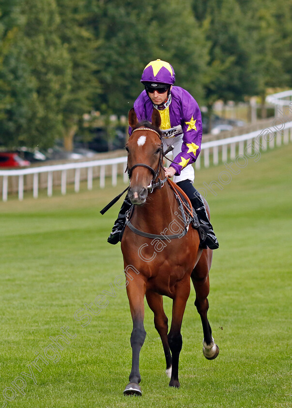 Mrembo-0001 
 MREMBO (Jack Mitchell)
Newmarket 29 Jul 2022 - Pic Steven Cargill / Racingfotos.com