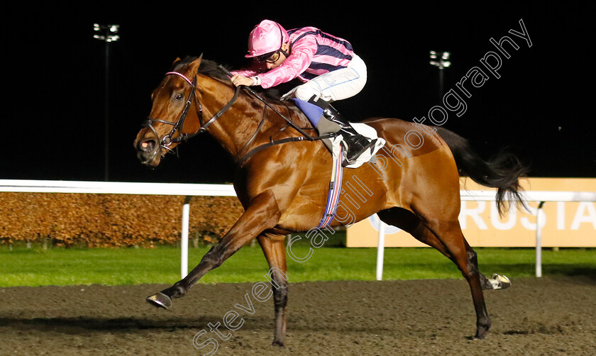 Bowmark-0007 
 BOWMARK (Kieran Shoemark) wins The Unibet EBF Novice Stakes Div2
Kempton 4 Dec 2024 - pic Steven Cargill / Racingfotos.com