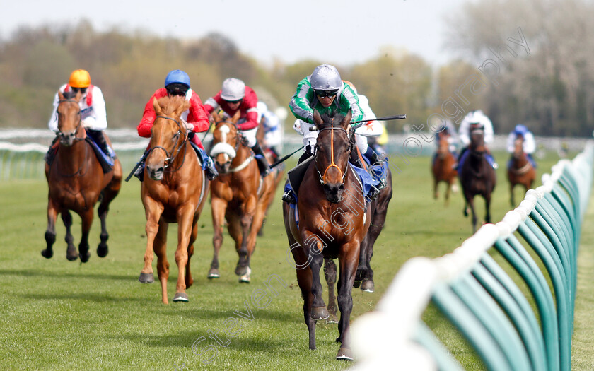 King-Of-Change-0002 
 KING OF CHANGE (Sean Levey) wins The Introducing Racing TV Novice Stakes
Nottingham 10 Apr 2019 - Pic Steven Cargill / Racingfotos.com