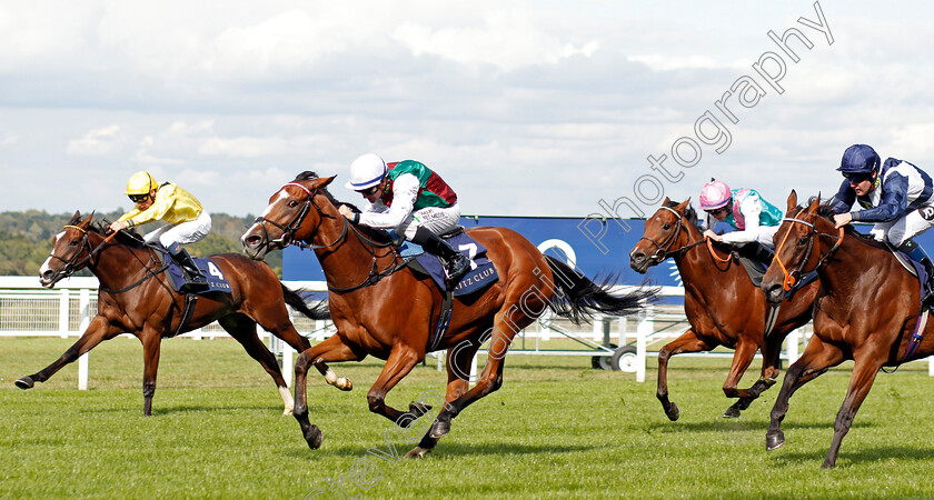 She s-Got-You-0002 
 SHE'S GOT YOU (Kieran O'Neill) beats SALAYEL (left) in The Ritz Club British EBF Premier Fillies Handicap
Ascot 7 Sep 2019 - Pic Steven Cargill / Racingfotos.com