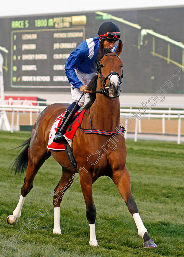 Eqtiraan-0001 
 EQTIRAAN (Dane O'Neill) Meydan 10 Mar 2018 - Pic Steven Cargill / Racingfotos.com