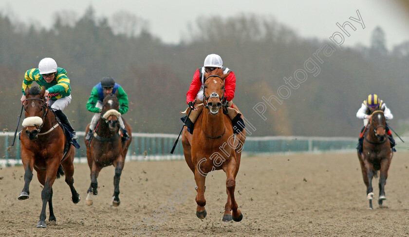 Harry s-Bar-0001 
 HARRY'S BAR (right, Andrea Atzeni) beats TOTAL COMMITMENT (left) in The Heed Your Hunch At Betway Handicap
Lingfield 15 Feb 2020 - Pic Steven Cargill / Racingfotos.com