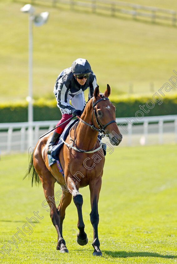 Hadrianus-0002 
 HADRIANUS (Frankie Dettori)
Goodwood 26 May 2023 - Pic Steven Cargill / Racingfotos.com