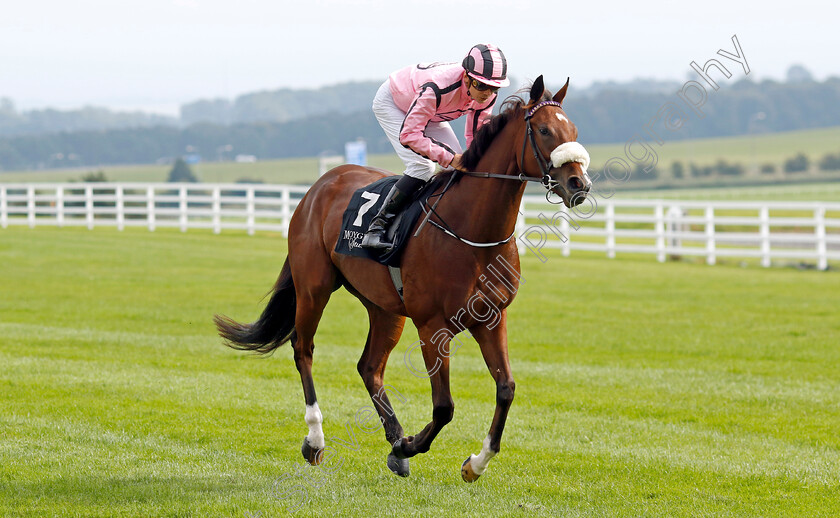 She s-Quality-0002 
 SHE'S QUALITY (Ronan Whelan)
The Curragh 10 Sep 2023 - Pic Steven Cargill / Racingfotos.com