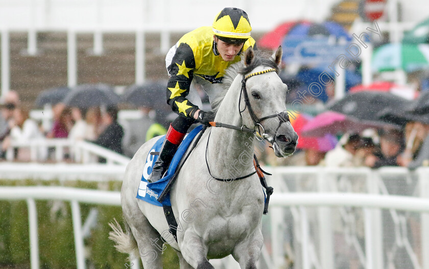 Shadow-Dance-0001 
 SHADOW DANCE (David Egan)
Chester 10 May 2023 - pic Steven Cargill / Racingfotos.com