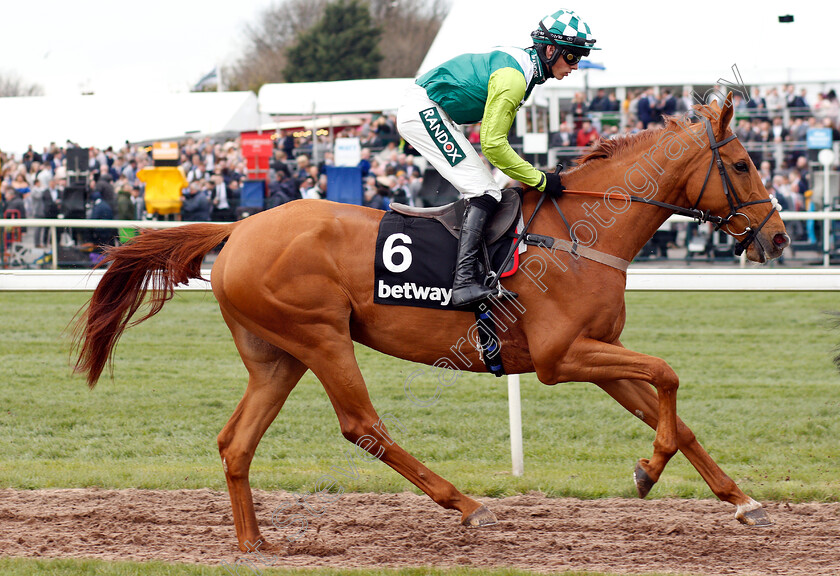 Topofthegame-0001 
 TOPOFTHEGAME (Harry Cobden)
Aintree 5 Apr 2019 - Pic Steven Cargill / Racingfotos.com