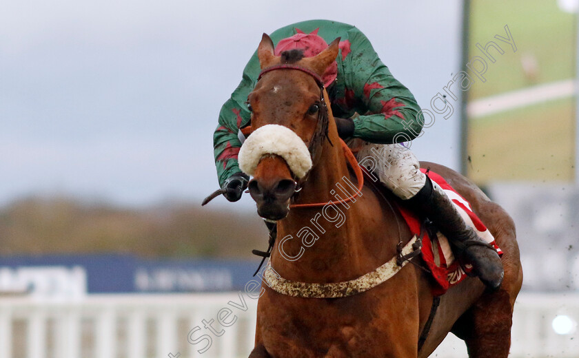 Fiercely-Proud-0002 
 FIERCELY PROUD (Kielan Woods) wins The Ladbrokes Handicap Hurdle
Ascot 21 Dec 2024 - Pic Steven Cargill / Racingfotos.com