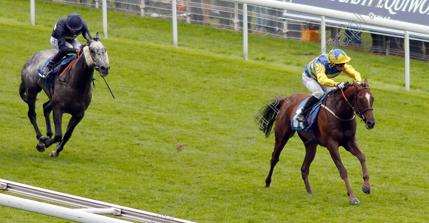 Poet s-Dawn-0003 
 POET'S DAWN (David Allan) wins The ICE COo Supporting Macmillan Handicap
York 15 Jun 2019 - Pic Steven Cargill / Racingfotos.com