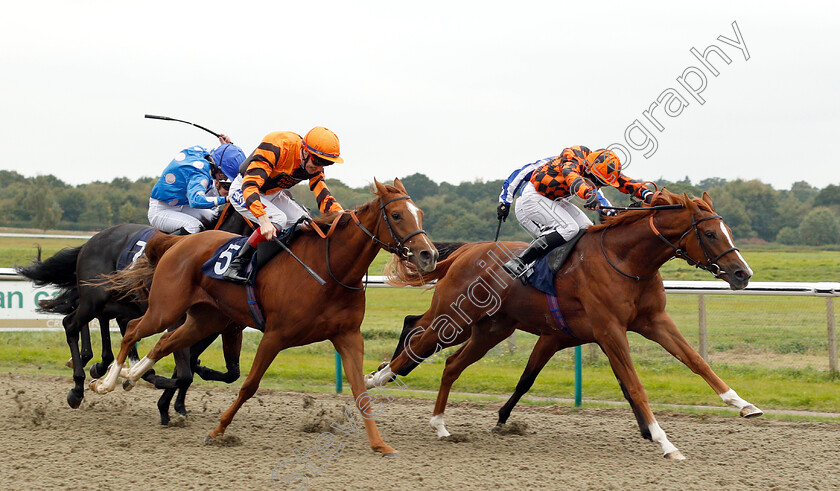 Sophosc-0003 
 SOPHOSC (right, Charles Bishop) beats ITIZZIT (nearside) in The Witheford Equine Barrier Trials At Lingfield Park Nursery
Lingfield 4 Oct 2018 - Pic Steven Cargill / Racingfotos.com