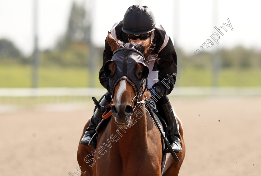 Gripper-0005 
 GRIPPER (Harry Bentley) wins The Abbot Ale Handicap
Chelmsford 30 Aug 2018 - Pic Steven Cargill / Racingfotos.com