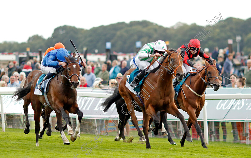 Angel-Hunter-0004 
 ANGEL HUNTER (centre, Ryan Moore) beats AGE OF GOLD (left) in The sensory-junction.co.uk Autism Awareness EBF Stallions Nursery
York 22 Aug 2024 - Pic Steven Cargill / Racingfotos.com