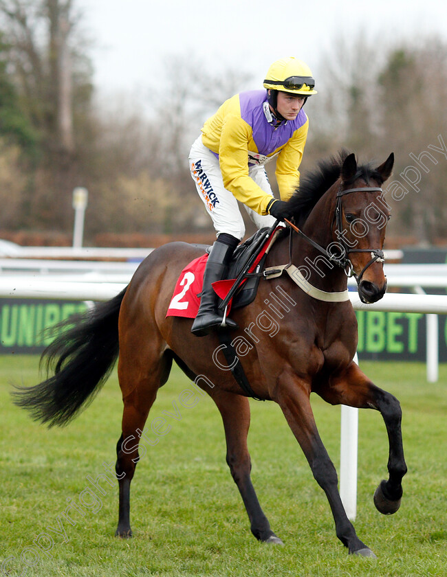 Mercian-Prince-0001 
 MERCIAN PRINCE (Jack Quinlan) winner of The Unibet Download The App Handicap Chase
Kempton 12 Jan 2019 - Pic Steven Cargill / Racingfotos.com