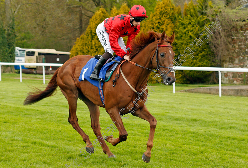 De-Medici-0001 
 DE MEDICI (Edward Greatrex) Salisbury 29 Apr 2018 - Pic Steven Cargill / Racingfotos.com