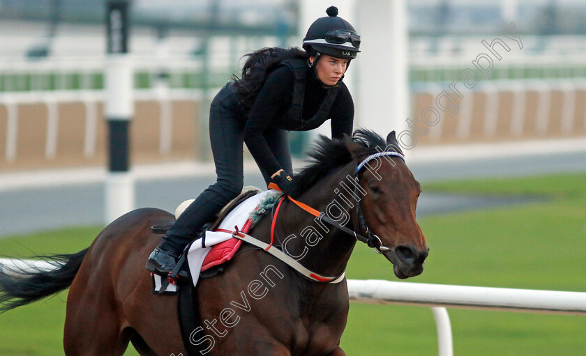 Good-Fortune-0004 
 GOOD FORTUNE training at the Dubai Racing Carnival 
Meydan 4 Jan 2024 - Pic Steven Cargill / Racingfotos.com