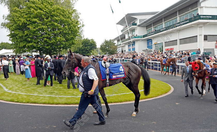 Auguste-Rodin-0021 
 AUGUSTE RODIN in the parade ring before The Betfred Derby
Epsom 3 Jun 2023 - Pic Steven Cargill / Racingfotos.com