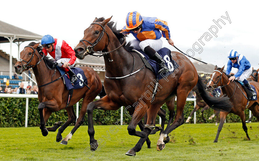 Music-Box-0002 
 MUSIC BOX (Ryan Moore) beats ETERNALLY (left) in The Japan Racing Association Sceptre Stakes Doncaster 15 Sep 2017 - Pic Steven Cargill / Racingfotos.com