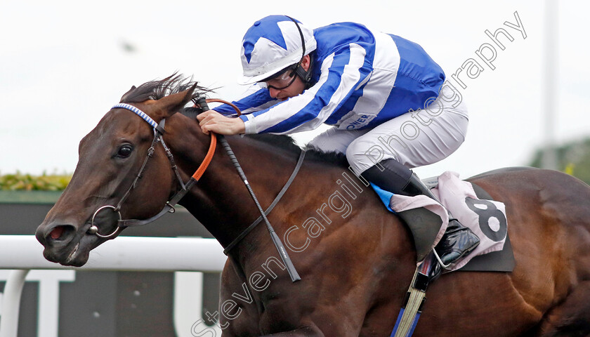 The-Terminus-0001 
 THE TERMINUS (Richard Kingscote) wins The Unibet Zero% Mission Maiden Fillies Stakes
Kempton 12 Jun 2024 - Pic Steven Cargill / Racingfotos.com