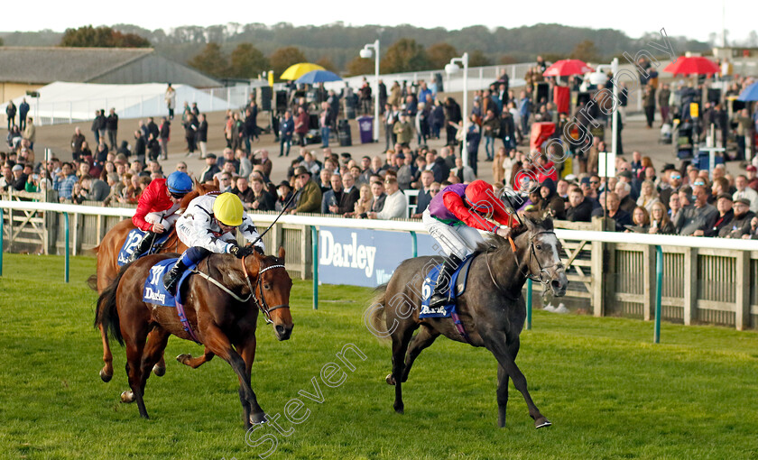 Funny-Story-0005 
 FUNNY STORY (right, Rossa Ryan) beats SOPHIA'S STARLIGHT (left) in the British EBF Boadicea Stakes
Newmarket 14 Oct 2023 - Pic Steven Cargill / Racingfotos.com