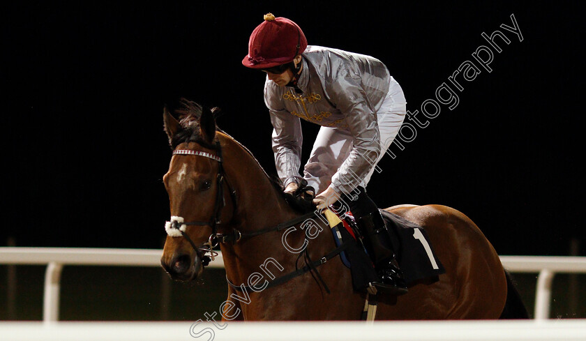 Almufti-0001 
 ALMUFTI (Jack Mitchell)
Chelmsford 11 Jan 2020 - Pic Steven Cargill / Racingfotos.com