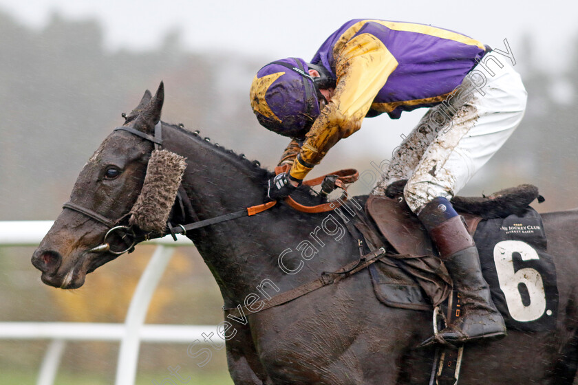 Lady-Babs-0003 
 LADY BABS (Conor Rabbitt) wins The Pertemps Network Handicap Hurdle
Market Rasen 17 Nov 2022 - pic Steven Cargill / Racingfotos.com