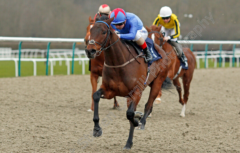 Makram-0005 
 MAKRAM (Andrea Atzeni) wins The Bombardier British Hopped Amber Beer Novice Stakes
Lingfield 14 Feb 2020 - Pic Steven Cargill / Racingfotos.com