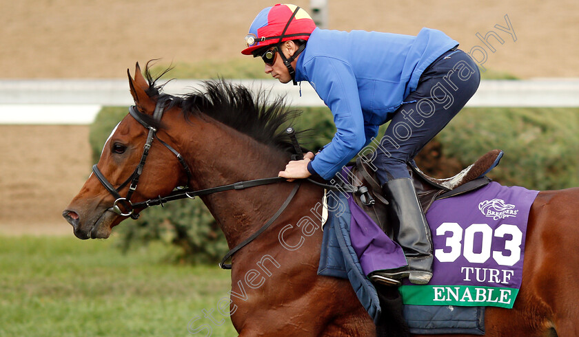 Enable-0006 
 ENABLE (Frankie Dettori) exercising ahead of The Breeders' Cup Turf
Churchill Downs 31 Oct 2018 - Pic Steven Cargill / Racingfotos.com