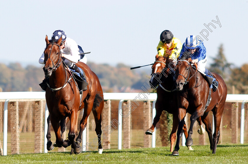 Clara-Peeters-0002 
 CLARA PEETERS (Jason Watson) beats JAHBATH (right) in The Radcliffe & Co EBF Novice Stakes Div2
Salisbury 3 Oct 2018 - Pic Steven Cargill / Racingfotos.com