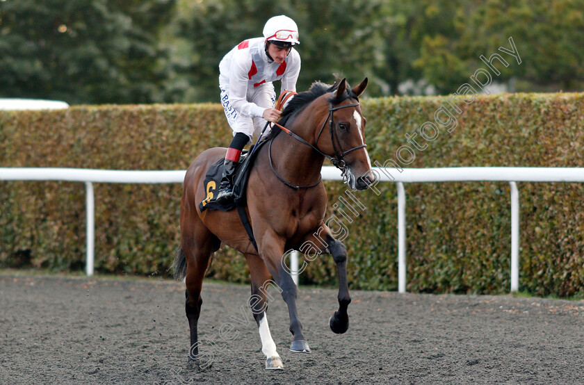 King s-Slipper-0001 
 KING'S SLIPPER (Adam Kirby) winner of The 32Red.com Handicap
Kempton 29 Aug 2018 - Pic Steven Cargill / Racingfotos.com