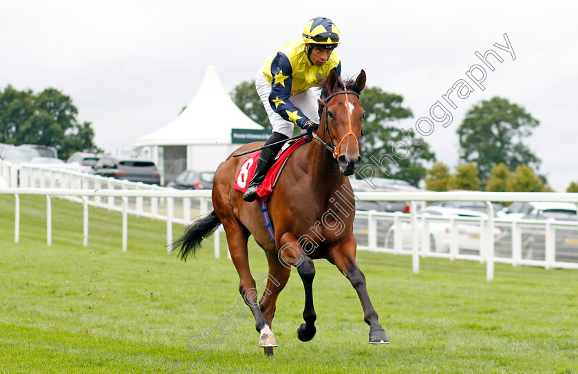 Jewel-Of-London-0001 
 JEWEL OF LONDON (Sean Levey)
Sandown 25 Jul 2024 - Pic Steven Cargill / Racingfotos.com