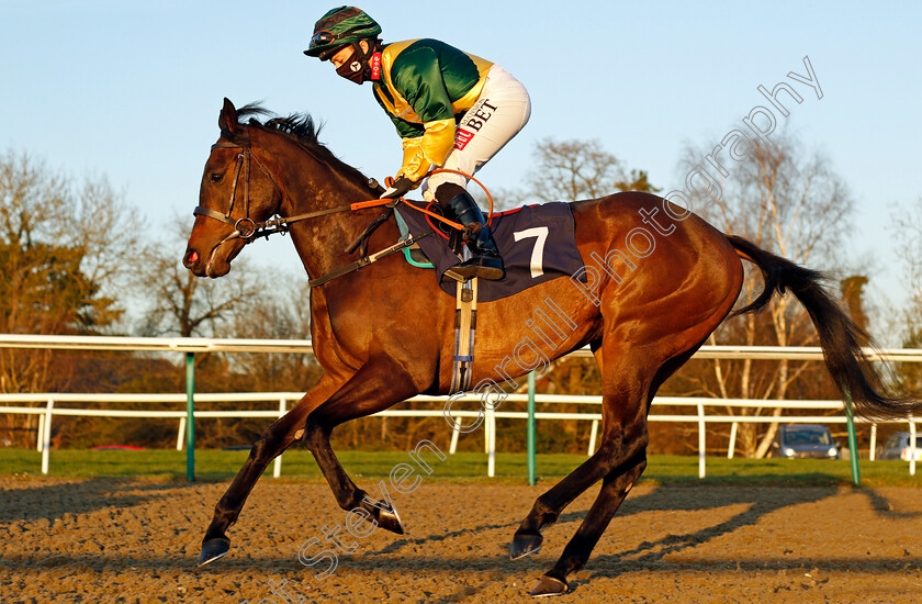 Apache-Mist-0001 
 APACHE MIST (Hayley Turner)
Lingfield 26 Feb 2021 - Pic Steven Cargill / Racingfotos.com